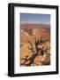 Shafer Trail Overlook, Canyonlands National Park, La Sal Mountains, Utah, Usa-Rainer Mirau-Framed Photographic Print