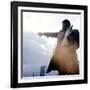 Shaft, Richard Roundtree, 1971-null-Framed Photo