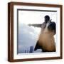 Brown Frame