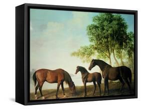 Shafto Mares and a Foal-George Stubbs-Framed Stretched Canvas