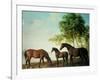 Shafto Mares and a Foal-George Stubbs-Framed Giclee Print