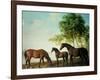 Shafto Mares and a Foal-George Stubbs-Framed Giclee Print