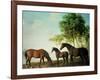 Shafto Mares and a Foal-George Stubbs-Framed Giclee Print