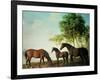 Shafto Mares and a Foal-George Stubbs-Framed Giclee Print