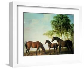 Shafto Mares and a Foal-George Stubbs-Framed Giclee Print