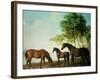 Shafto Mares and a Foal-George Stubbs-Framed Premium Giclee Print