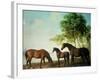 Shafto Mares and a Foal-George Stubbs-Framed Giclee Print