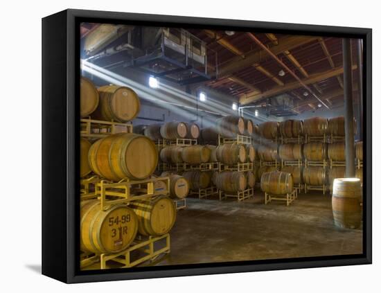 Shafts of Light in Barrel Room of Montevina Winery, Shenandoah Valley, California, USA-Janis Miglavs-Framed Stretched Canvas