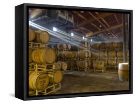 Shafts of Light in Barrel Room of Montevina Winery, Shenandoah Valley, California, USA-Janis Miglavs-Framed Stretched Canvas