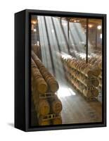 Shafts of Light in Barrel Room of Montevina Winery, Shenandoah Valley, California, USA-Janis Miglavs-Framed Stretched Canvas