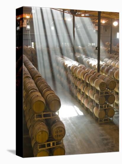 Shafts of Light in Barrel Room of Montevina Winery, Shenandoah Valley, California, USA-Janis Miglavs-Stretched Canvas