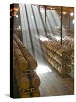 Shafts of Light in Barrel Room of Montevina Winery, Shenandoah Valley, California, USA-Janis Miglavs-Stretched Canvas