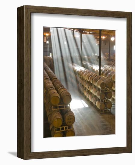 Shafts of Light in Barrel Room of Montevina Winery, Shenandoah Valley, California, USA-Janis Miglavs-Framed Photographic Print