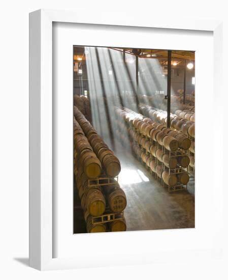 Shafts of Light in Barrel Room of Montevina Winery, Shenandoah Valley, California, USA-Janis Miglavs-Framed Photographic Print