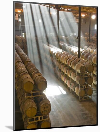 Shafts of Light in Barrel Room of Montevina Winery, Shenandoah Valley, California, USA-Janis Miglavs-Mounted Photographic Print