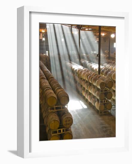 Shafts of Light in Barrel Room of Montevina Winery, Shenandoah Valley, California, USA-Janis Miglavs-Framed Photographic Print