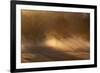 Shafts of Sunlight Pass Through Trees on a Misty Morning in Richmond Park-Alex Saberi-Framed Photographic Print