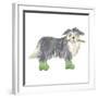 Shaggy Dog I-Kate Mawdsley-Framed Giclee Print