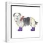 Shaggy Dog II-Kate Mawdsley-Framed Giclee Print