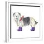 Shaggy Dog II-Kate Mawdsley-Framed Giclee Print