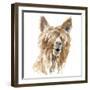 Shaggy Llama-Lanie Loreth-Framed Art Print