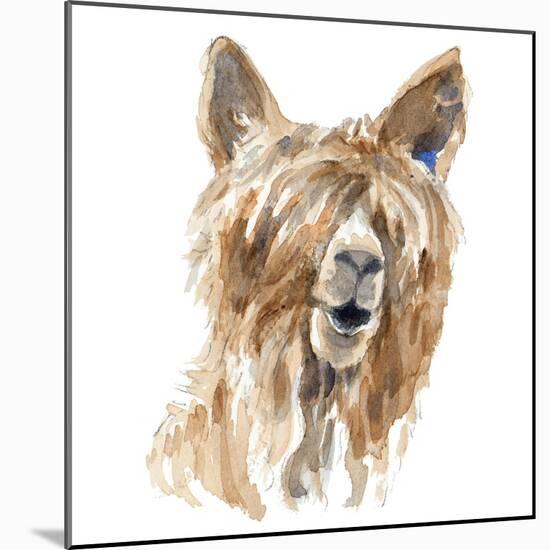 Shaggy Llama-Lanie Loreth-Mounted Art Print