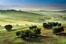 Fog in the Valley at Sunrise, Tuscany-Shaiith-Photographic Print