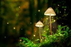 Glowing Mushroom Lamps with Fireflies in Magical Forest-Shaiith-Photographic Print