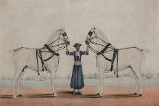 A Syce  Holding Two Carriage Horses, c.1845-Shaik Muhammad Amir of Karraya-Laminated Giclee Print