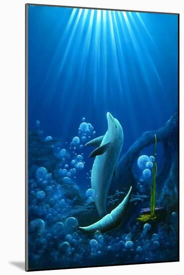 Shaka Dolphin-Thomas Deir-Mounted Poster