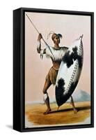 Shaka Zulu (c1787-1828)-null-Framed Stretched Canvas