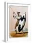 Shaka Zulu (c1787-1828)-null-Framed Giclee Print