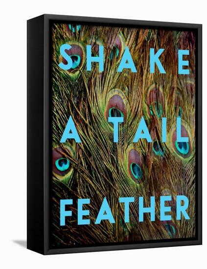 Shake a Tail Feather-Su Keren-Framed Stretched Canvas