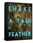 Shake a Tail Feather-Su Keren-Framed Stretched Canvas