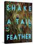 Shake a Tail Feather-Su Keren-Stretched Canvas