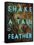 Shake a Tail Feather-Su Keren-Framed Stretched Canvas