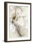 Shake the Dust 2-Stefano Altamura-Framed Giclee Print