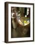 Shaken Not Stirred-Steve Ash-Framed Giclee Print