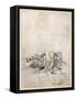 Shakespeare, Fairies-Arthur Rackham-Framed Stretched Canvas