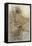 Shakespeare: Hermia-Arthur Rackham-Framed Stretched Canvas