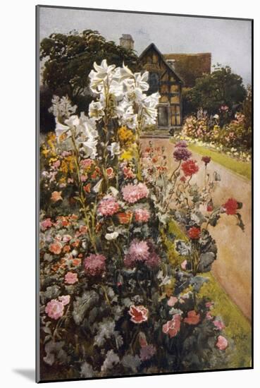 Shakespeare's Garden Stratford-On-Avon. a Packed Herbaceous Border Leads up to the House-null-Mounted Art Print