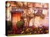 Shakespeare’s House-Alan Klug-Stretched Canvas