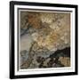 Shakespeare, the Tempest-Arthur Rackham-Framed Photographic Print