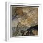 Shakespeare, the Tempest-Arthur Rackham-Framed Photographic Print