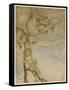 Shakespeare, the Tempest-Arthur Rackham-Framed Stretched Canvas