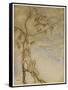 Shakespeare, the Tempest-Arthur Rackham-Framed Stretched Canvas