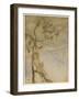 Shakespeare, the Tempest-Arthur Rackham-Framed Art Print