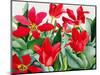 Shakespeare Tulips-Christopher Ryland-Mounted Premium Giclee Print