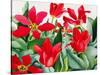 Shakespeare Tulips-Christopher Ryland-Stretched Canvas