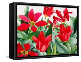 Shakespeare Tulips-Christopher Ryland-Framed Stretched Canvas